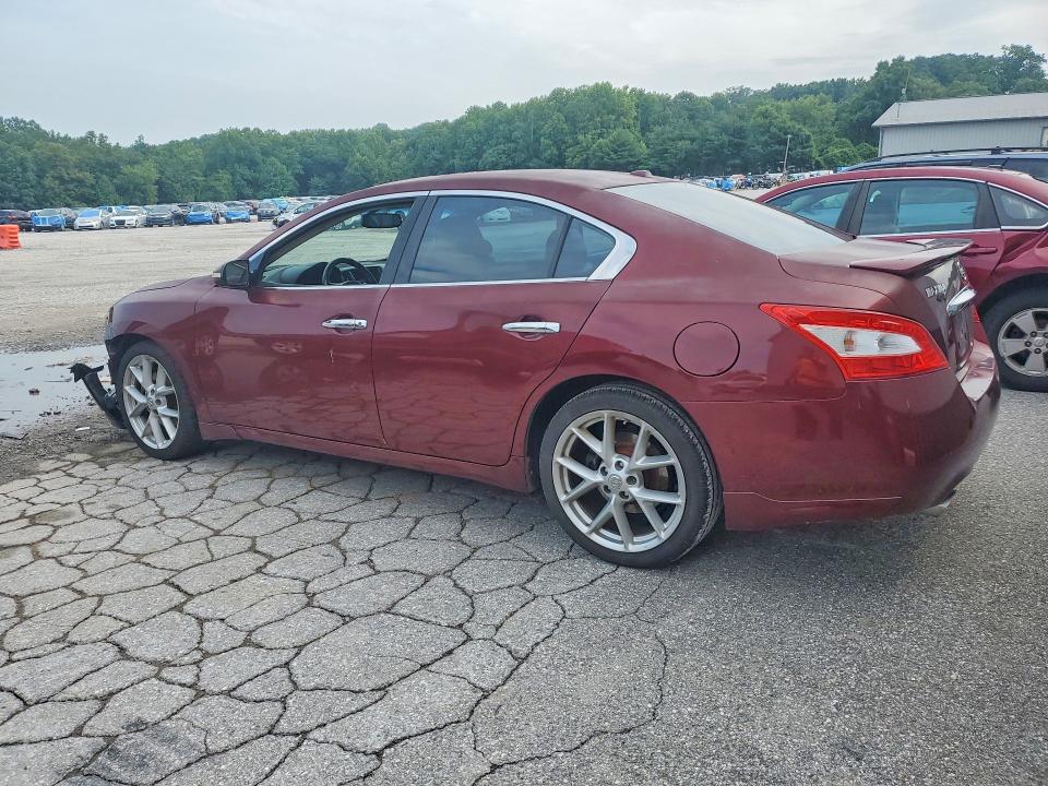 2009 Nissan Maxima მანქანა იყიდება აუქციონზე, vin: 1N4AA51E59C850152, აუქციონის ნომერი: 64442446