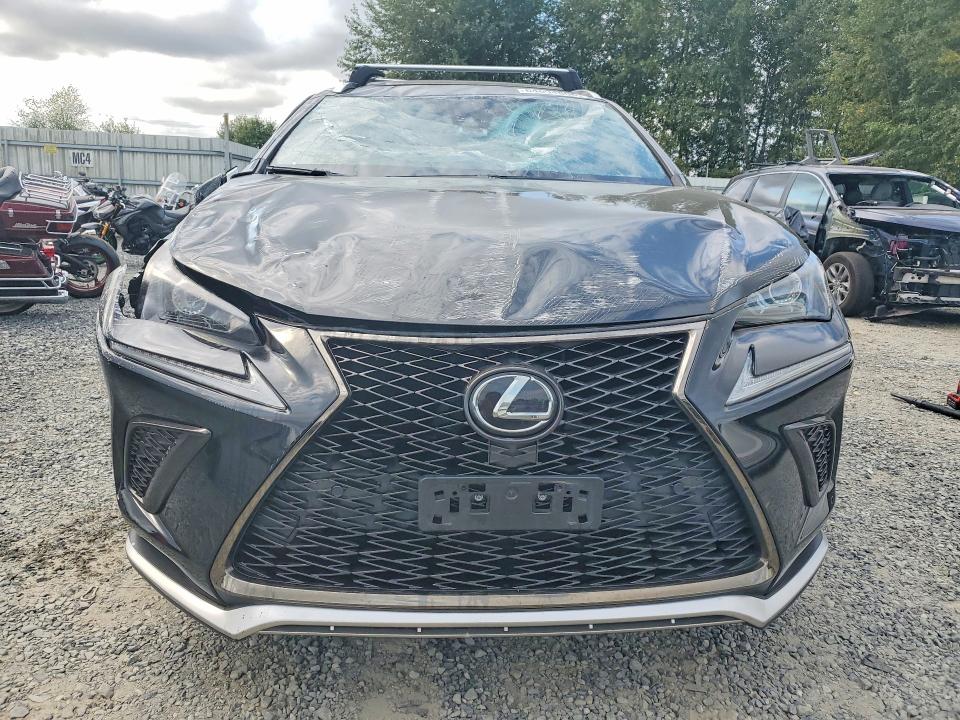Продаж на аукціоні авто 2020 Lexus Nx, vin: JTJSARBZ9L5004249, номер лоту: 64694806