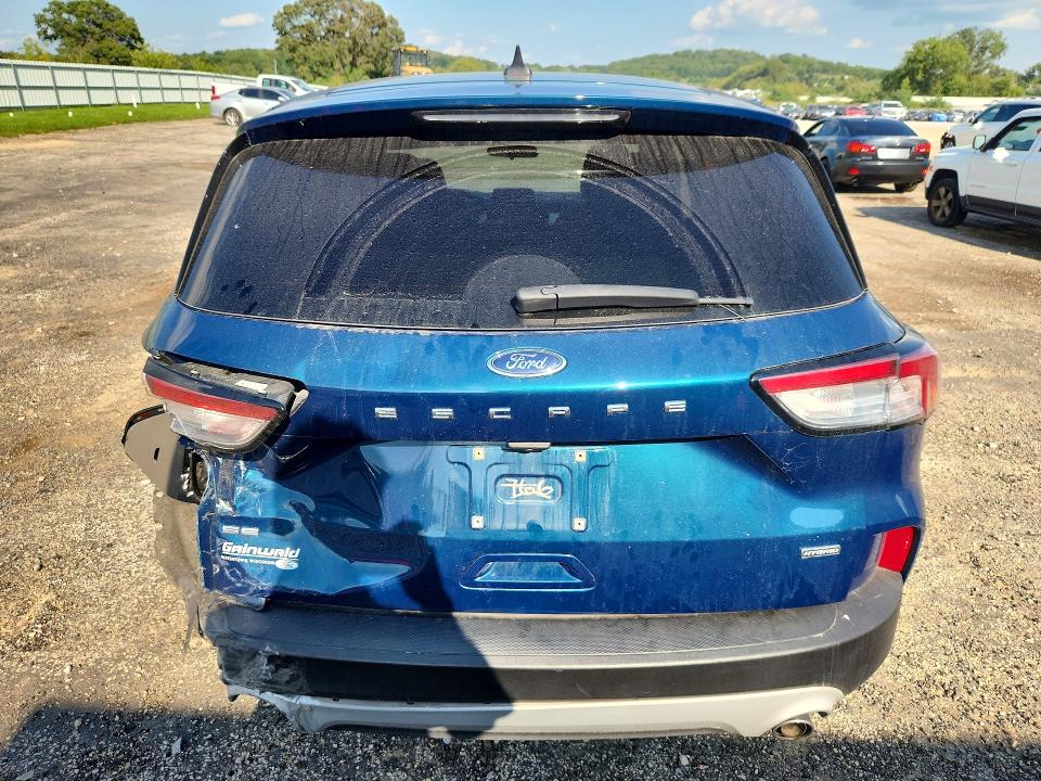 Продаж на аукціоні авто 2020 Ford Escape, vin: 1FMCU0BZ1LUB20766, номер лоту: 66734816