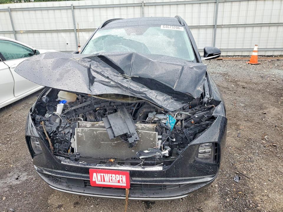 Продажа на аукционе авто 2024 Hyundai Tucson, vin: 5NMJECDE9RH331332, номер лота: 64673206