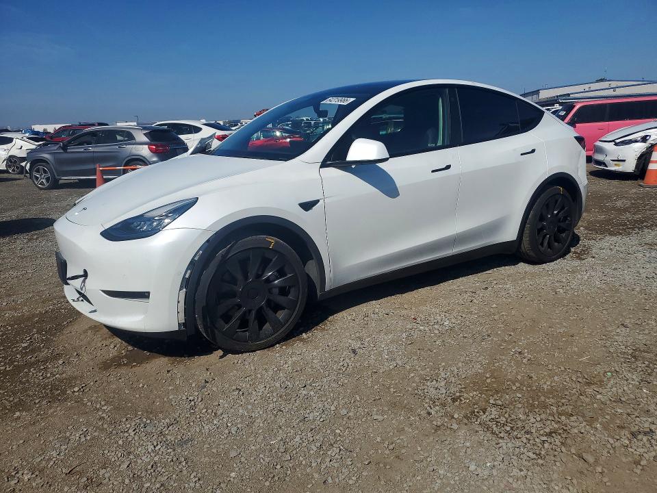 Auction sale of the 2021 Tesla Model Y, vin: 5YJYGDEE9MF159097, lot number: 64319986