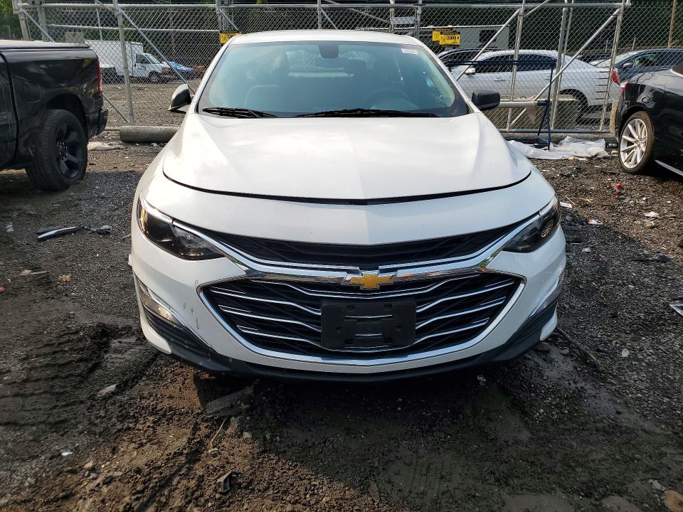 Продаж на аукціоні авто 2020 Chevrolet Malibu, vin: 1G1ZB5ST5LF156986, номер лоту: 64646986