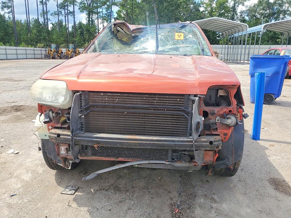 66703196 :رقم المزاد ، 1FMCU02Z55KD88279 vin ، 2005 Ford Escape مزاد بيع