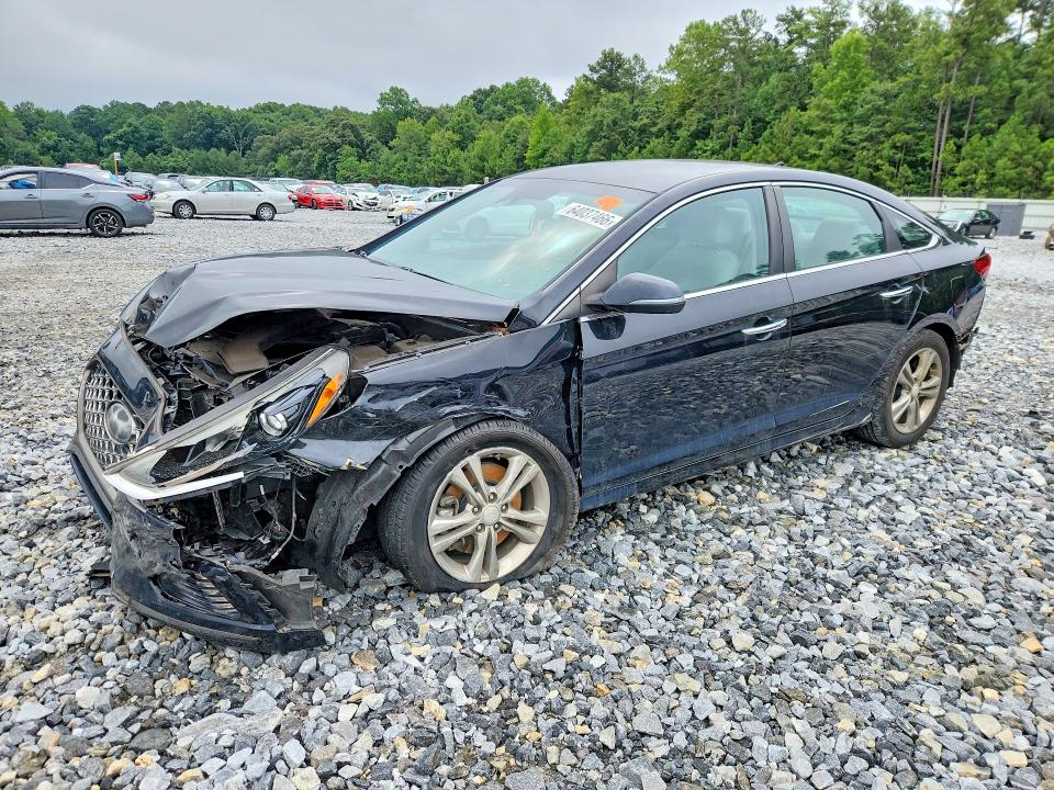 Продаж на аукціоні авто 2019 Hyundai Sonata, vin: 5NPE34AF6KH813758, номер лоту: 64037466
