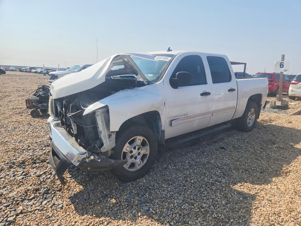 Aukcja sprzedaży 2009 Chevrolet Silverado, vin: 3GCEC23J09G272456, numer aukcji: 64491086
