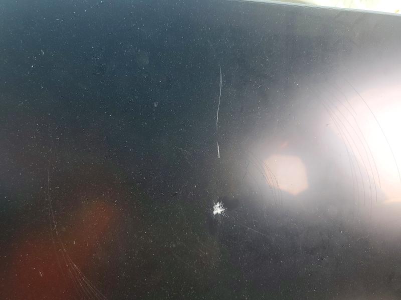 Aukcja sprzedaży 2024 Tesla Model Y, vin: 7SAYGDEF4RF131243, numer aukcji: 63432226