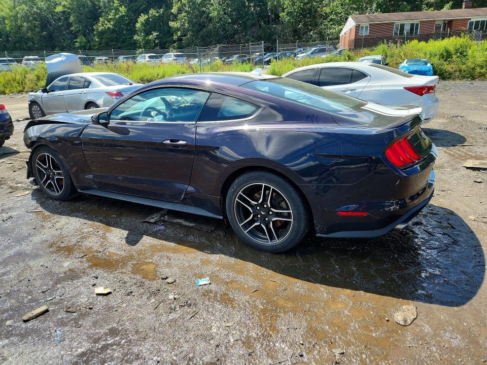 Продаж на аукціоні авто 2023 Ford Mustang, vin: 1FA6P8TH8P5101621, номер лоту: 65722916