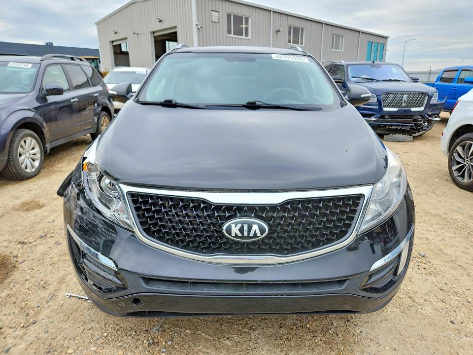 Продаж на аукціоні авто 2014 Kia Sportage, vin: KNDPBCAC3E7630208, номер лоту: 65389096
