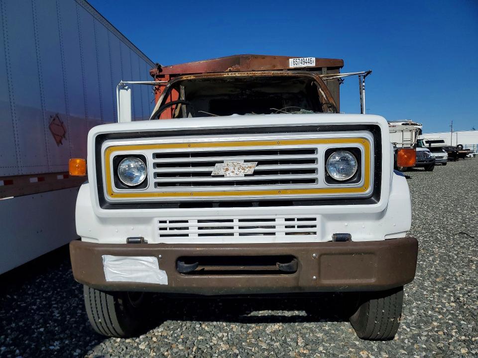 65749446 :رقم المزاد ، 1GBL7D1EXBV131327 vin ، 1981 Chevrolet C7 مزاد بيع