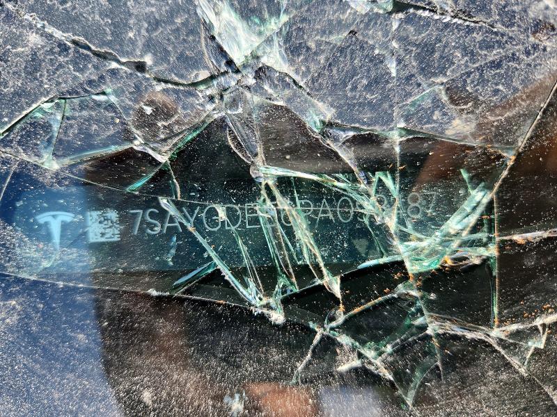 Aukcja sprzedaży 2023 Tesla Model Y, vin: 7SAYGDEE6PA098487, numer aukcji: 66667616
