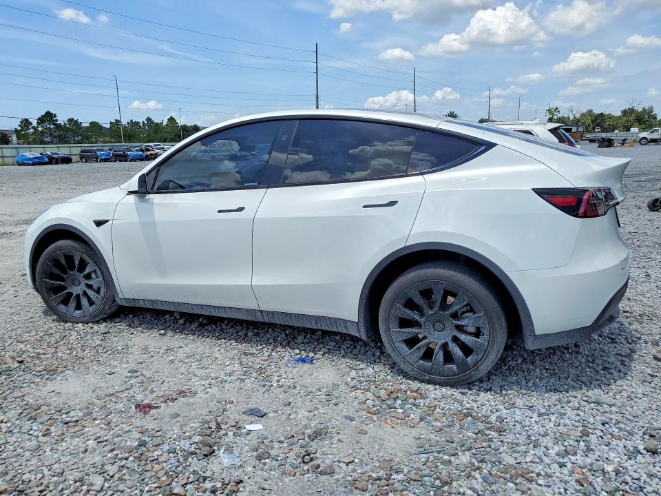 Продажа на аукционе авто 2024 Tesla Model Y, vin: 7SAYGDEE8RA240261, номер лота: 64275566