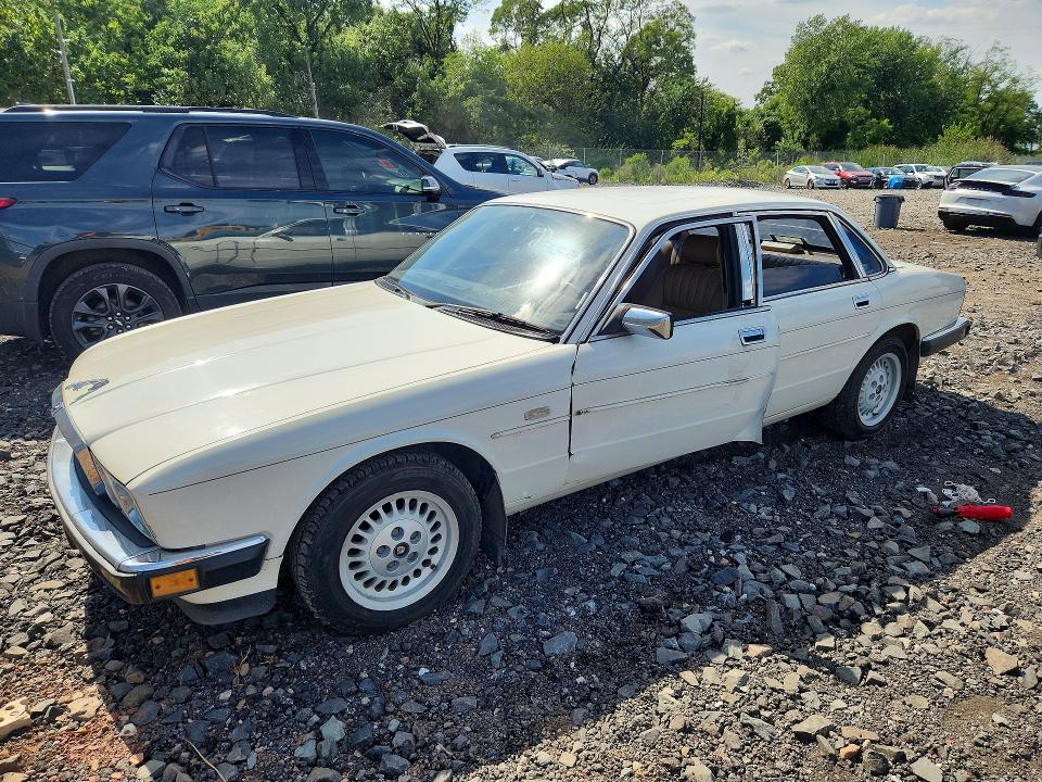 65730346 :رقم المزاد ، SAJHY1541KC567978 vin ، 1989 Jaguar Xj6 مزاد بيع