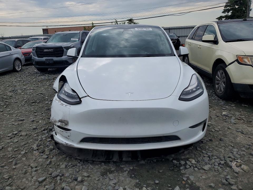 Продажа на аукционе авто 2023 Tesla Model Y, vin: 7SAYGDEE5PA098593, номер лота: 65901906