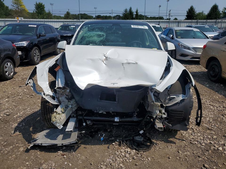 Aukcja sprzedaży 2023 Tesla Model Y, vin: 7SAYGDEE1PF684954, numer aukcji: 64461116