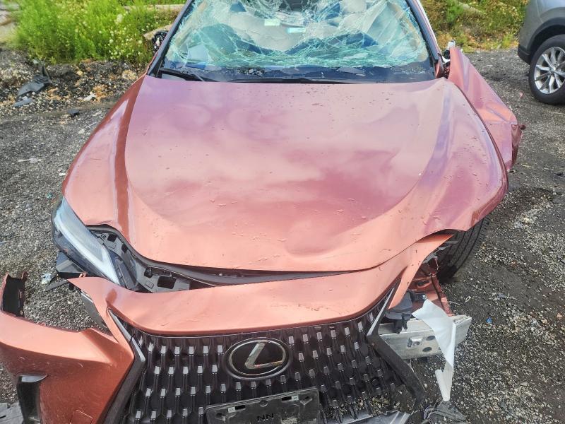 Продажа на аукционе авто 2025 Lexus Nx, vin: 2T2GGCEZ4SC066056, номер лота: 64581826