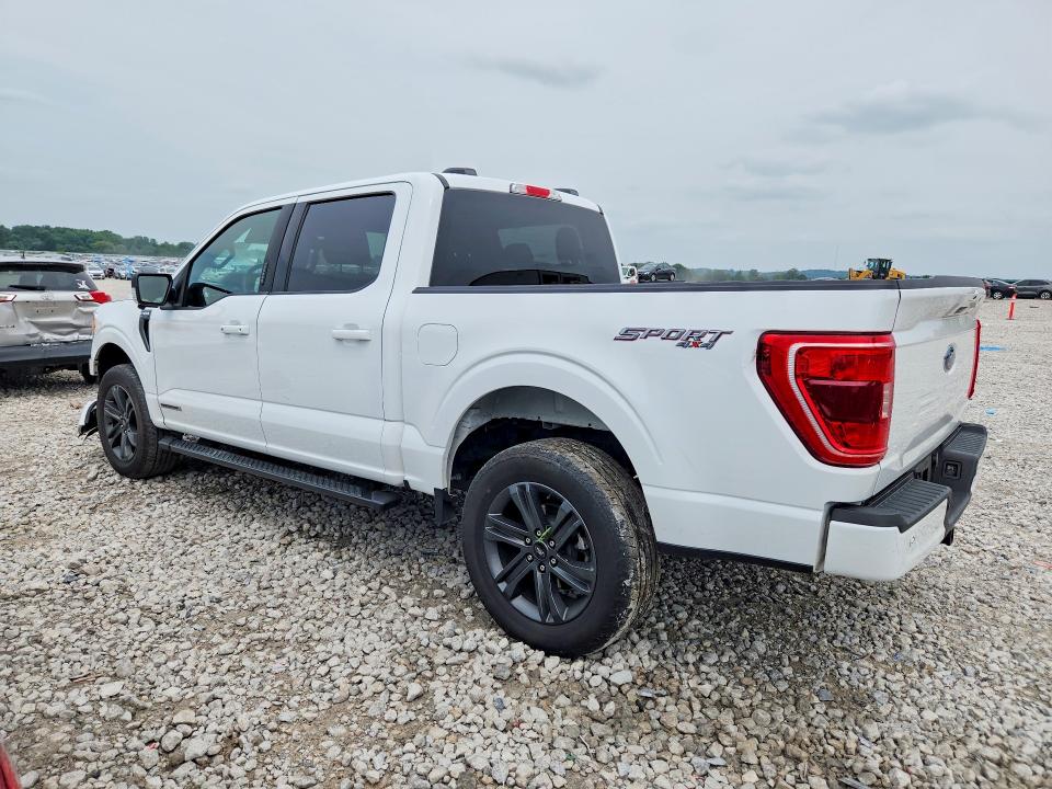 Продажа на аукционе авто 2023 Ford F150, vin: 1FTFW1ED0PFD09341, номер лота: 63932826