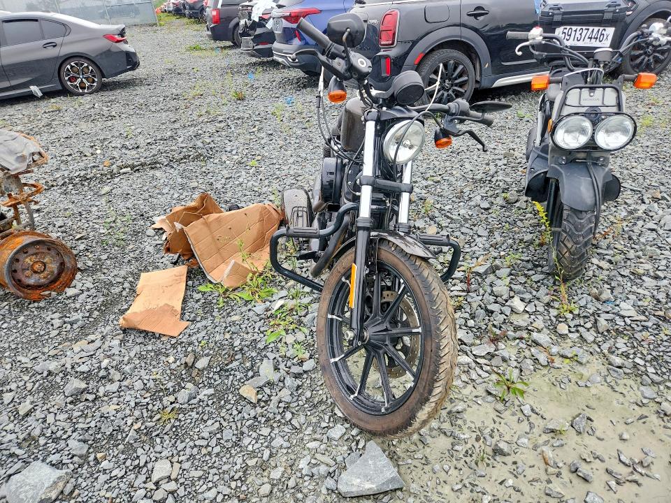 2020 Harley-davidson Xl883 მანქანა იყიდება აუქციონზე, vin: 5HD4LE231LB403532, აუქციონის ნომერი: 65682376