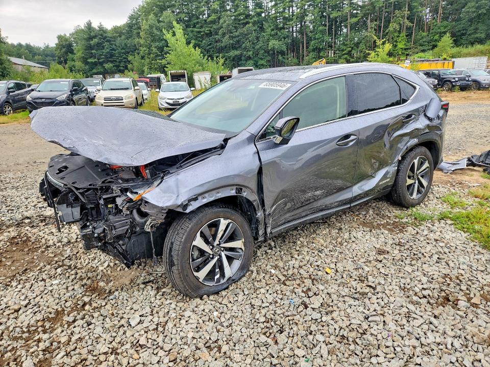 Aukcja sprzedaży 2020 Lexus Nx, vin: JTJGJRDZ1L2142095, numer aukcji: 65905946