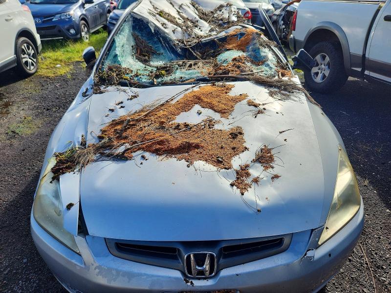 2005 Honda Accord მანქანა იყიდება აუქციონზე, vin: 1HGCM56155A148047, აუქციონის ნომერი: 66347616