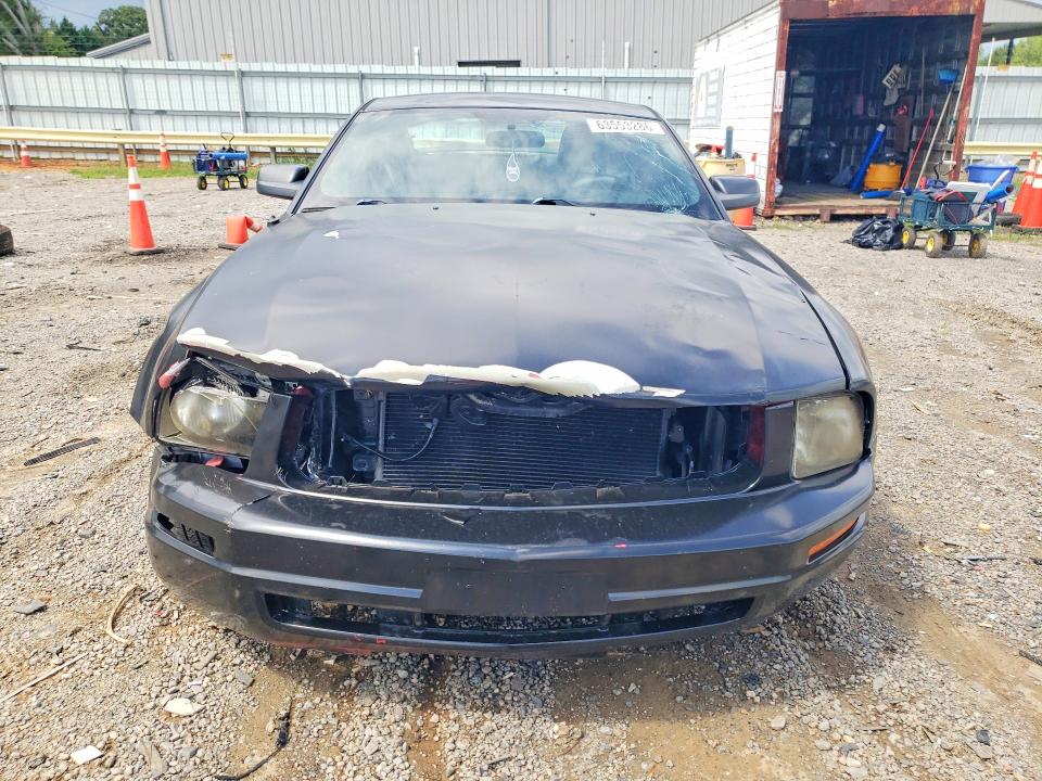 Продажа на аукционе авто 2005 Ford Mustang, vin: 1ZVFT80N755144292, номер лота: 63553286