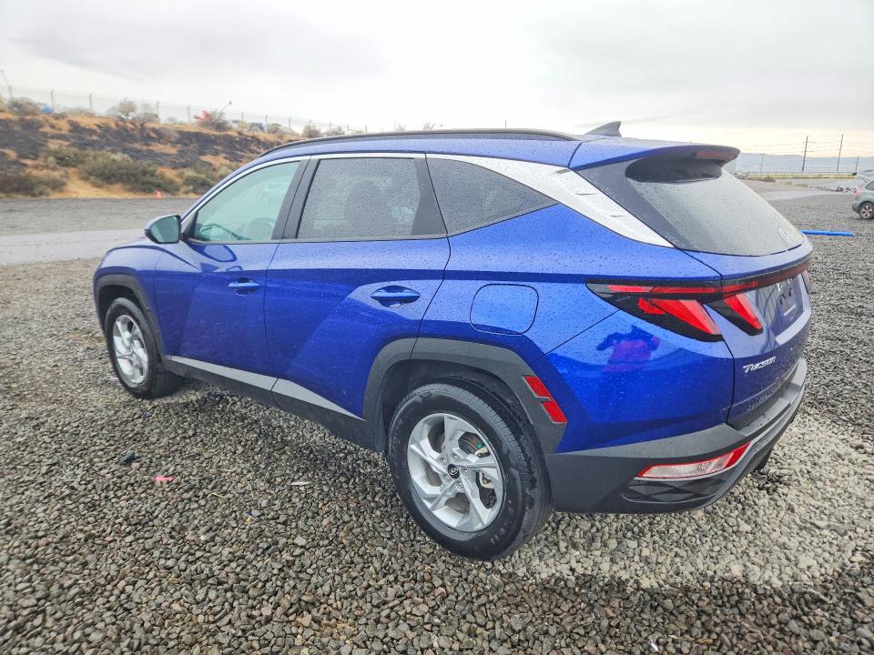 2024 Hyundai Tucson მანქანა იყიდება აუქციონზე, vin: 5NMJBCDE9RH318038, აუქციონის ნომერი: 66391456
