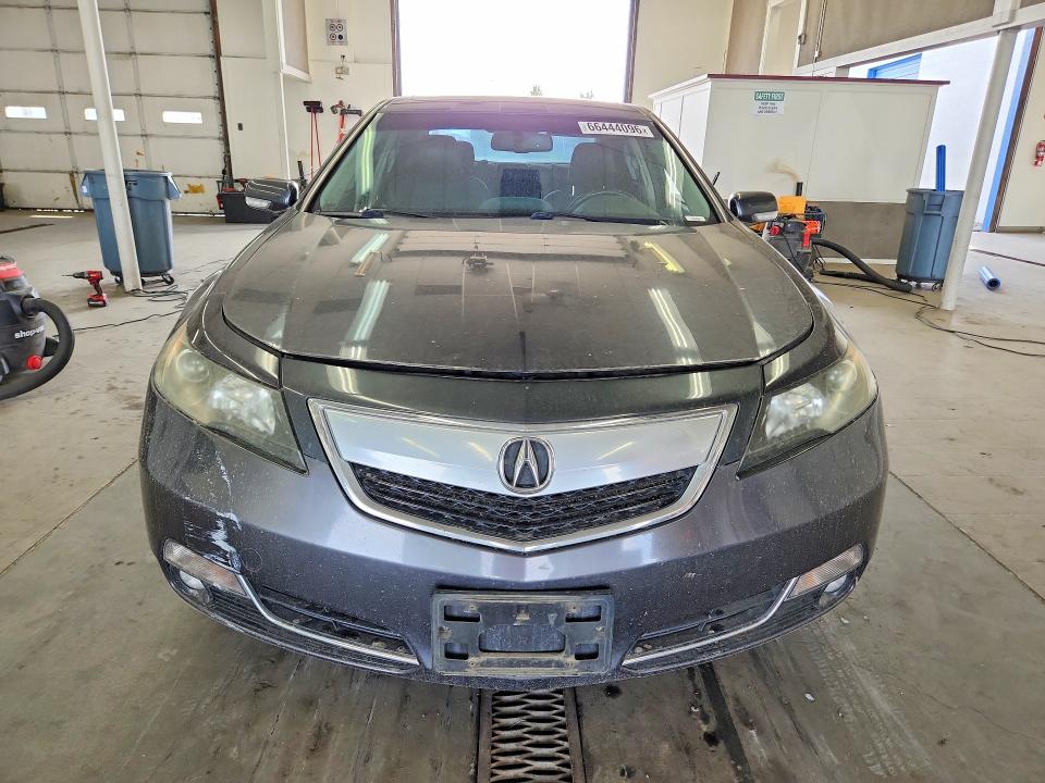 Продаж на аукціоні авто 2012 Acura Tl, vin: 19UUA9F77CA006305, номер лоту: 66444096