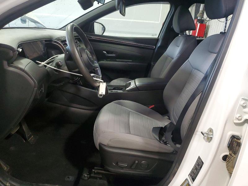 2023 Hyundai Santa Cruz მანქანა იყიდება აუქციონზე, vin: 5NTJCDAE3PH050631, აუქციონის ნომერი: 64948506