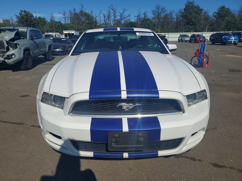 Продаж на аукціоні авто 2014 Ford Mustang, vin: 1ZVBP8AM9E5266984, номер лоту: 66888526