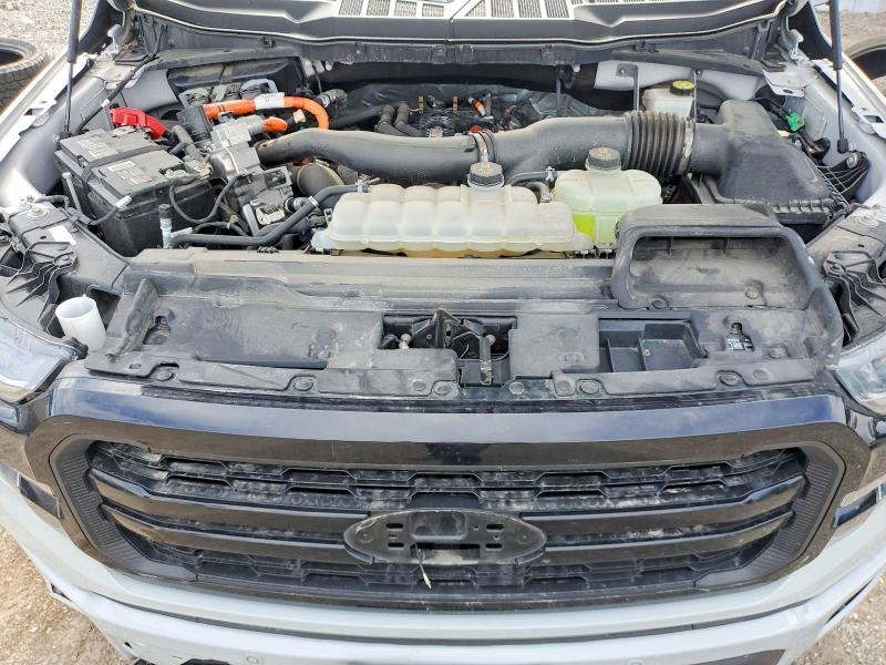 Продаж на аукціоні авто 2024 Ford F150, vin: 1FTFW5LD0RFB53900, номер лоту: 65345716