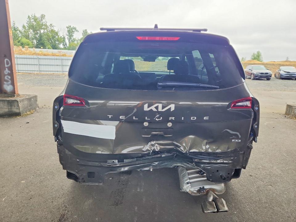 Aukcja sprzedaży 2025 Kia Telluride, vin: 5XYP6DGC6SG677054, numer aukcji: 65555626