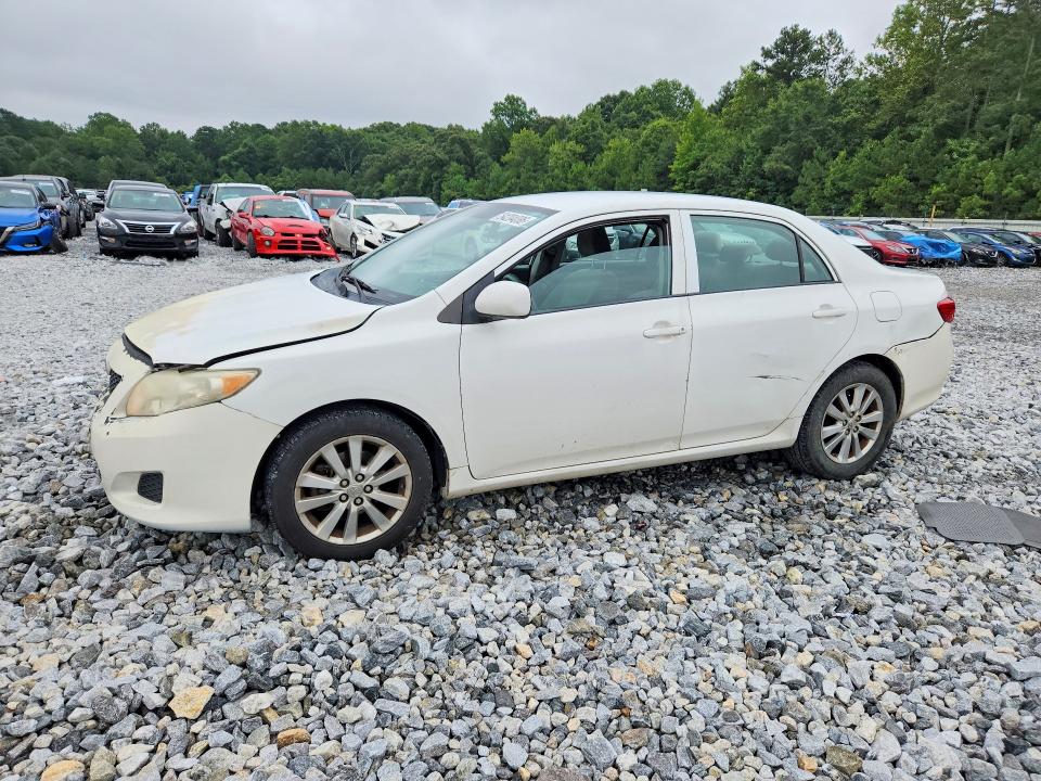 Продаж на аукціоні авто 2009 Toyota Corolla, vin: 2T1BU40E59C066708, номер лоту: 64204086