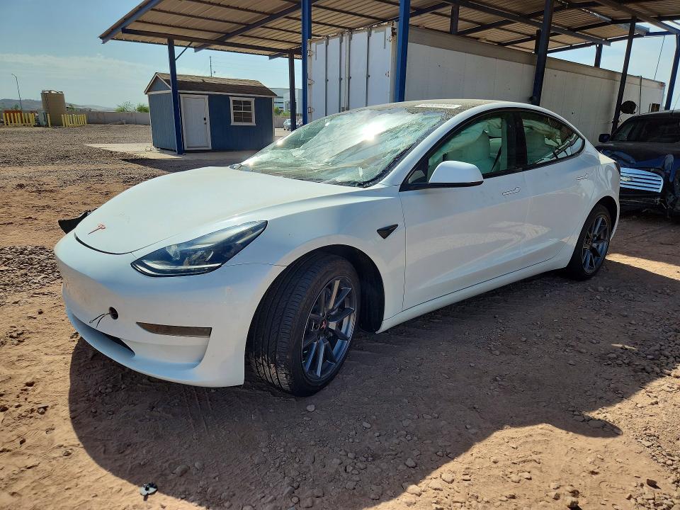64139456 :رقم المزاد ، 5YJ3E1EA5PF542227 vin ، 2023 Tesla Model 3 مزاد بيع