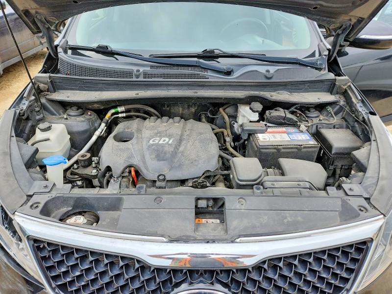 Продаж на аукціоні авто 2014 Kia Sportage, vin: KNDPBCAC3E7630208, номер лоту: 65389096