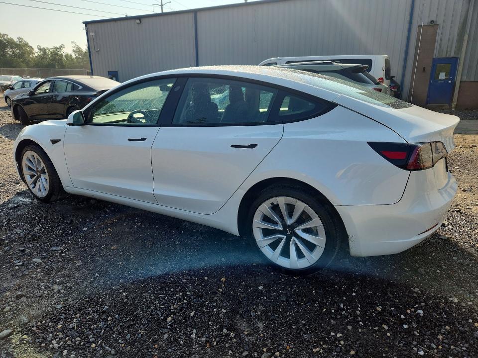 64959896 :رقم المزاد ، 5YJ3E1EA3PF435290 vin ، 2023 Tesla Model 3 مزاد بيع