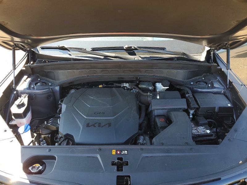 64275436 :رقم المزاد ، 5XYP5DGCXRG526831 vin ، 2024 Kia Telluride مزاد بيع
