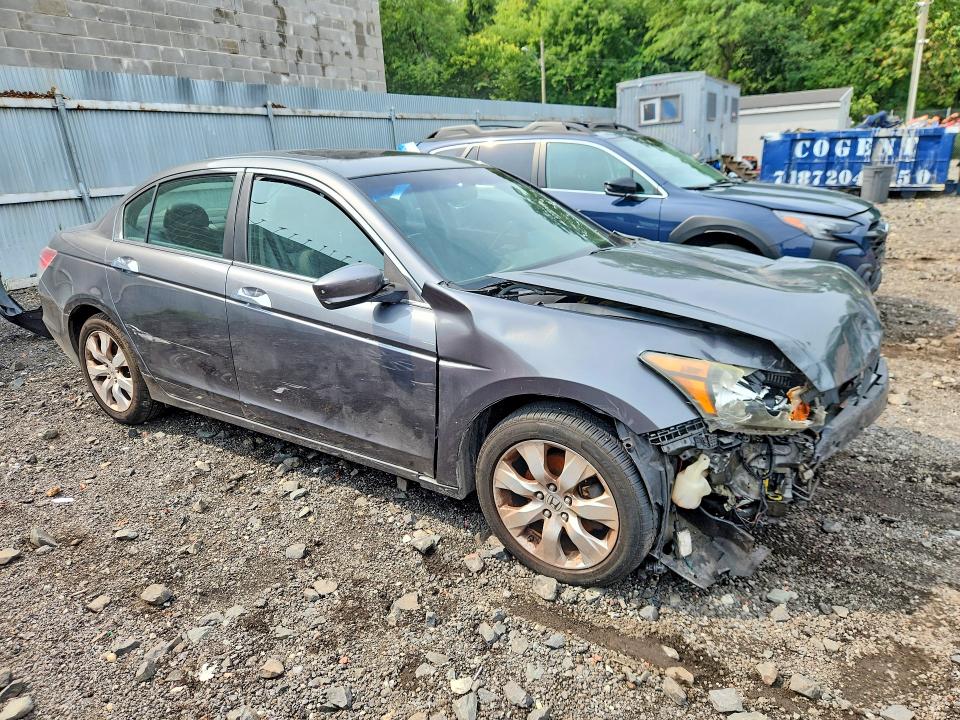 64650526 :رقم المزاد ، 5KBCP3F85AB003746 vin ، 2010 Honda Accord مزاد بيع