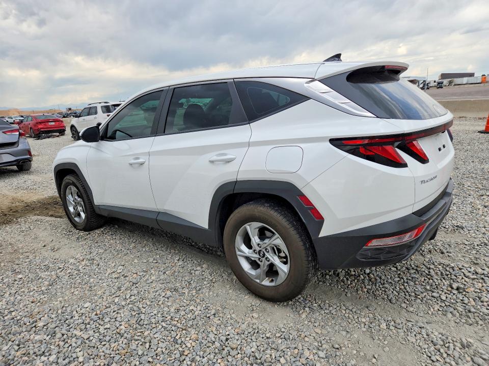 2024 Hyundai Tucson მანქანა იყიდება აუქციონზე, vin: 5NMJACDE0RH430178, აუქციონის ნომერი: 65657476