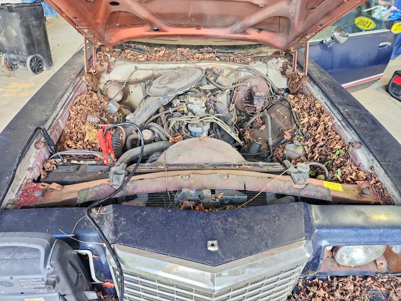 Продажа на аукционе авто 1978 Ford Thunderbird, vin: 8G87F274293, номер лота: 67175596