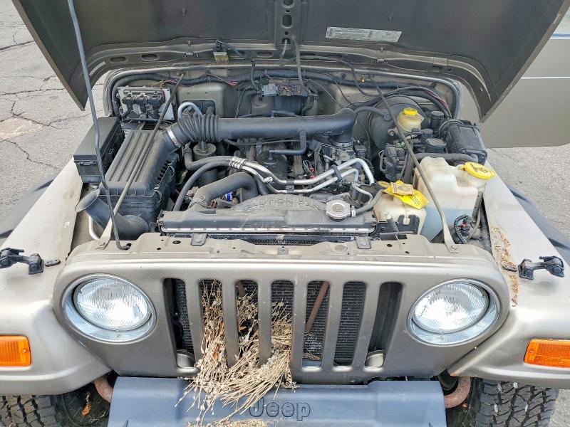 2002 Jeep Wrangler / Tj მანქანა იყიდება აუქციონზე, vin: 1J4FA49S82P774892, აუქციონის ნომერი: 61389396