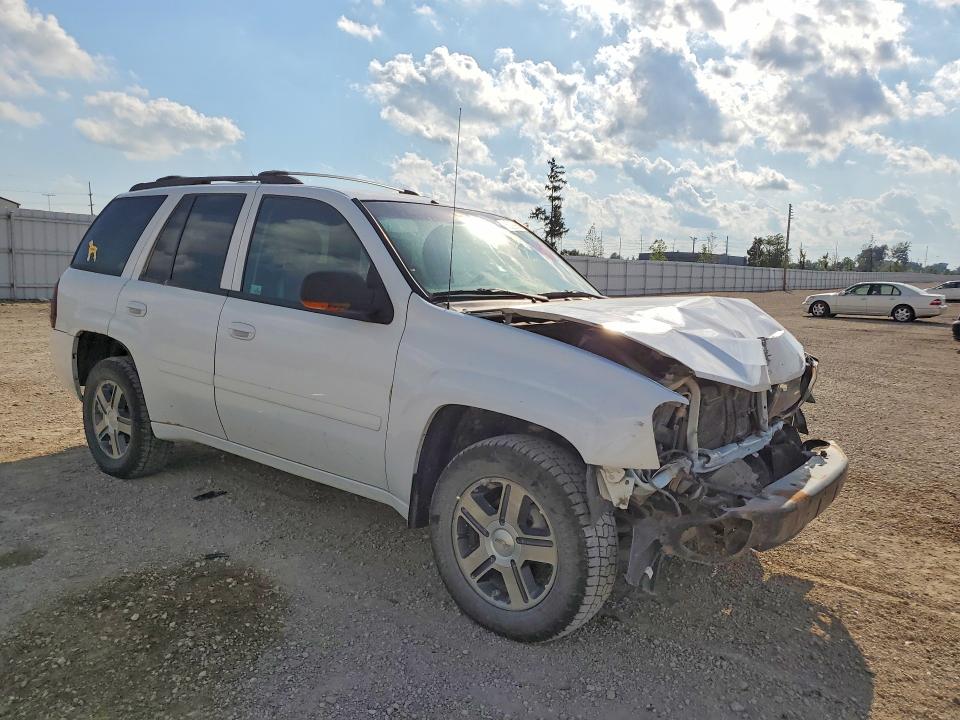 2007 Chevrolet Trailblazer მანქანა იყიდება აუქციონზე, vin: 1GNDT13S572239190, აუქციონის ნომერი: 66236656
