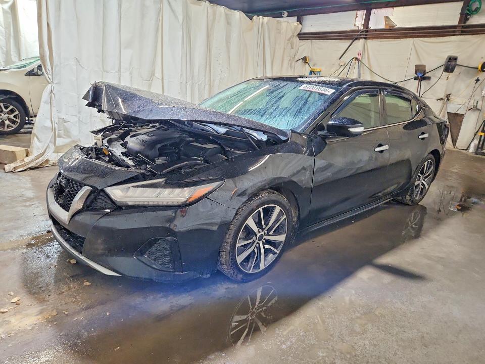 2019 Nissan Maxima მანქანა იყიდება აუქციონზე, vin: 1N4AA6AV6KC375784, აუქციონის ნომერი: 64069656