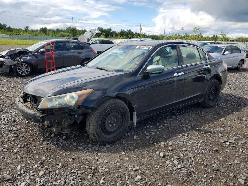 Auction sale of the 2010 Honda Accord, vin: 1HGCP2F8XAA805695, lot number: 65043376