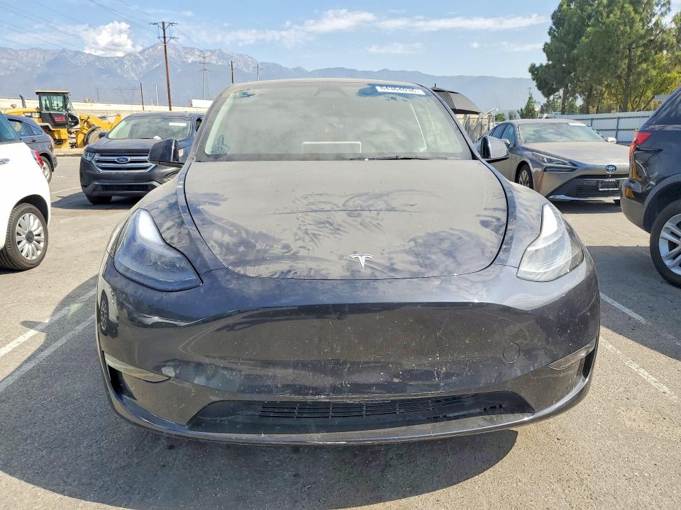 Aukcja sprzedaży 2025 Tesla Model Y, vin: 7SAYGDEE1SF281758, numer aukcji: 64364036