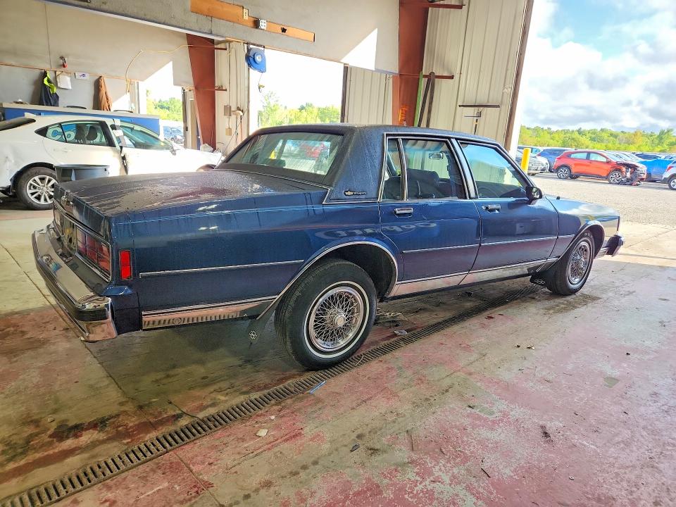 Auction sale of the 1989 Chevrolet Caprice, vin: 1G1BU51E0KR176011, lot number: 66817486