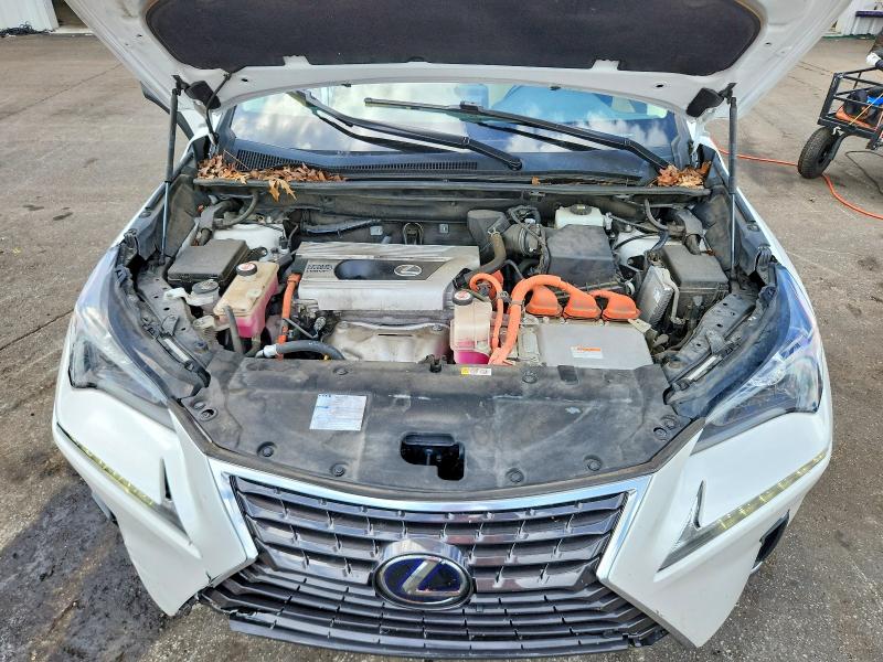 64062506 :رقم المزاد ، JTJDJRDZ1M5013437 vin ، 2021 Lexus Nx 300h مزاد بيع