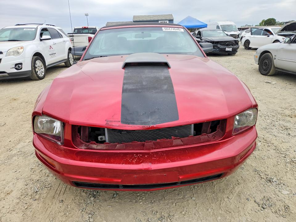 66474646 :رقم المزاد ، 1ZVFT84N265261323 vin ، 2006 Ford Mustang مزاد بيع