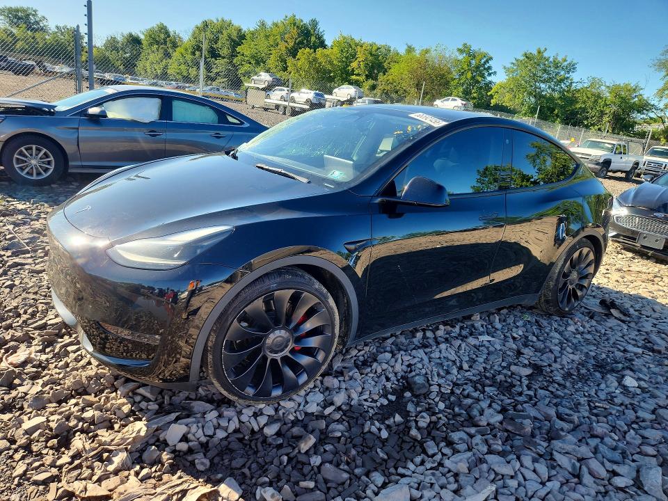 Продаж на аукціоні авто 2022 Tesla Model Y, vin: 7SAYGDEF1NF530265, номер лоту: 66592456