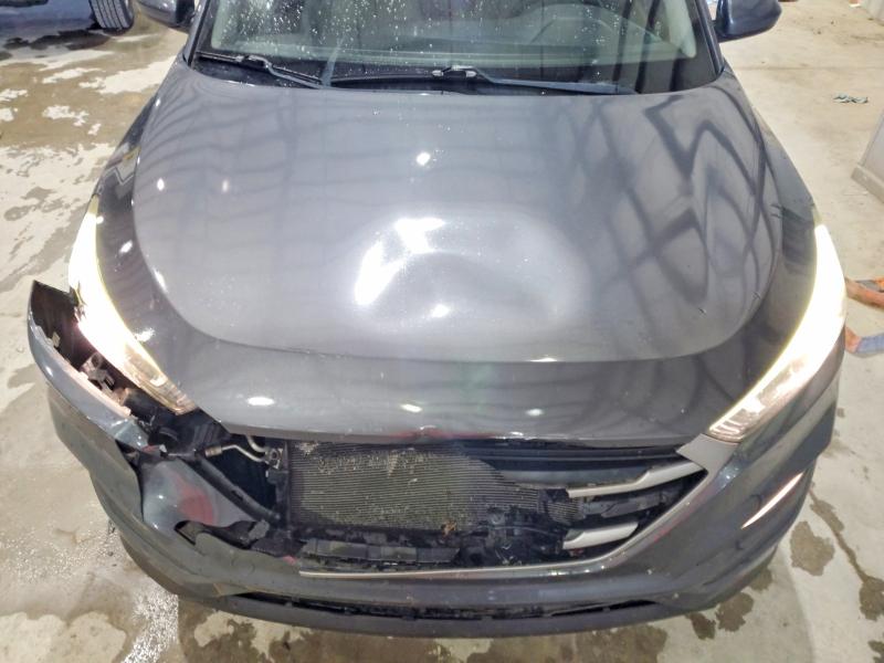 Продаж на аукціоні авто 2017 Hyundai Tucson, vin: KM8J3CA40HU585077, номер лоту: 66195726