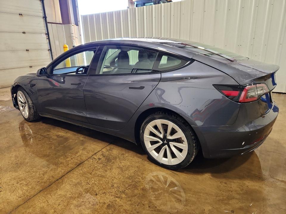 Продаж на аукціоні авто 2023 Tesla Model 3, vin: 5YJ3E1EA6PF438359, номер лоту: 64122496