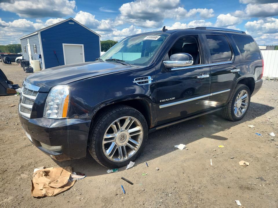 Продаж на аукціоні авто 2010 Cadillac Escalade, vin: 1GYUKDEF4AR157957, номер лоту: 65866686